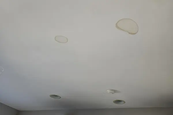 Infiltration : auréoles d'eau brunâtres sur un plafond