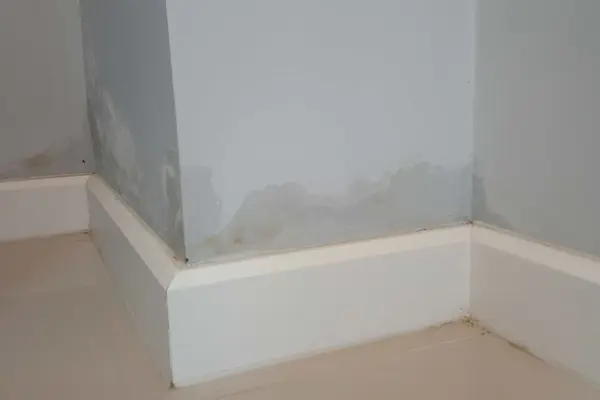 Remontées capillaires : tache d'humidité au bas d'un mur