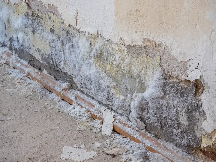 Dépôt blanc de salpêtre et enduit qui s'effrite au bas d'un mur