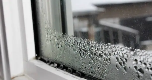 Condensation sur la vitre d'une fenêtre